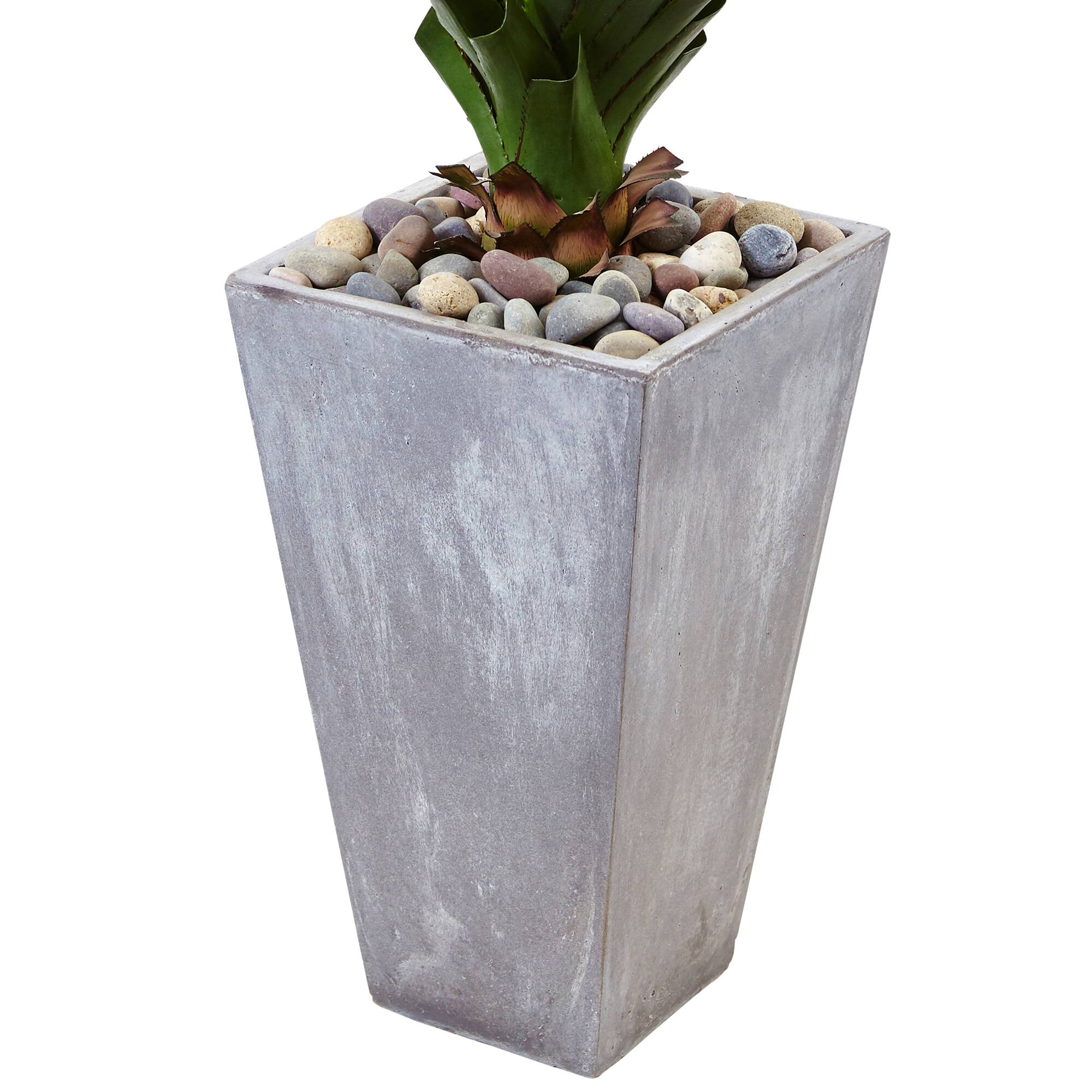 5ft. Spiked Agave Plant in Cement Planter